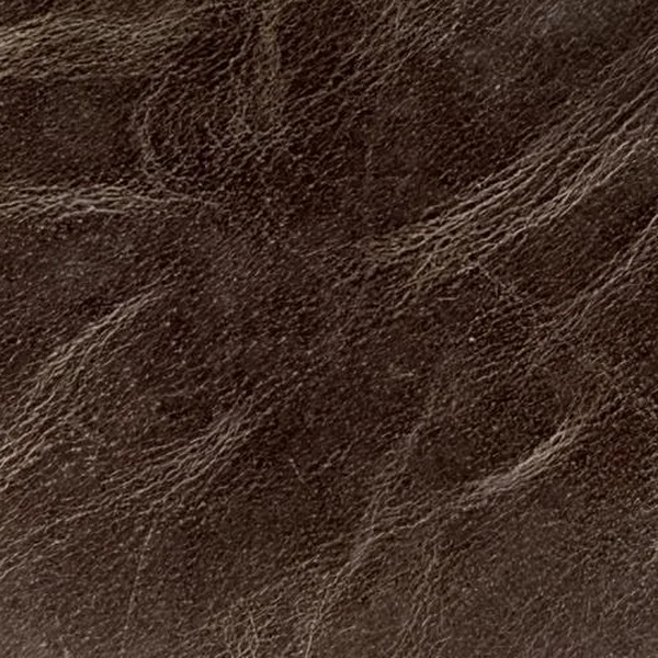 Hunter leather swatch