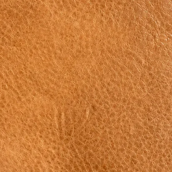 Vintage tan leather swatch